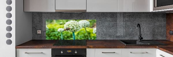 Spatscherm keuken Bloeiende knoflook