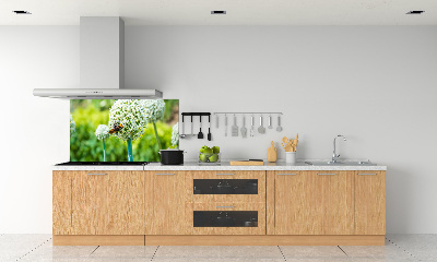 Spatscherm keuken Bloeiende knoflook