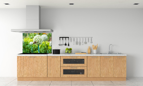 Spatscherm keuken Bloeiende knoflook