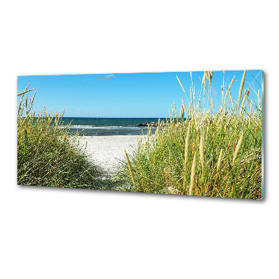 Achterwand keuken duinen aan zee