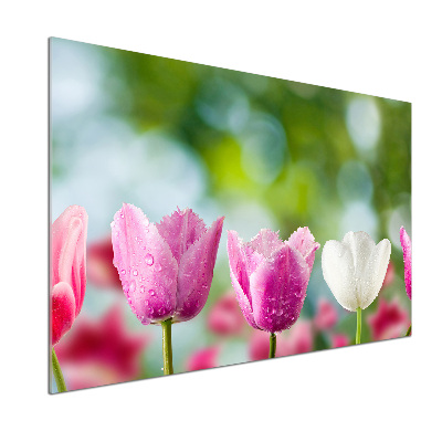 Panel między meble w kuchni Tulipany