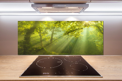 Spatscherm keuken Bos in de zon