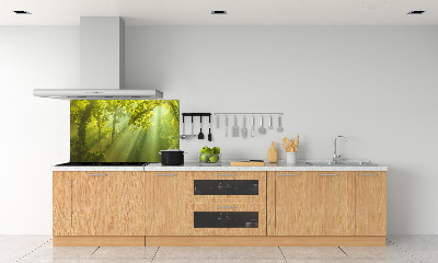 Panel dekor szkło Las w słońcu