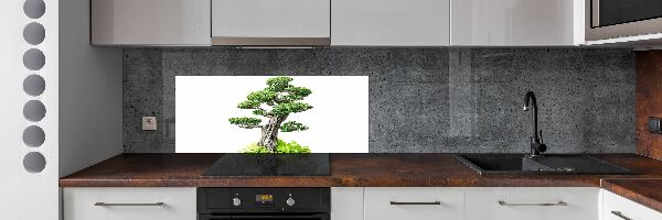 Panel do kuchni Drzewo bonsai