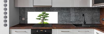 Panel do kuchni Drzewo bonsai