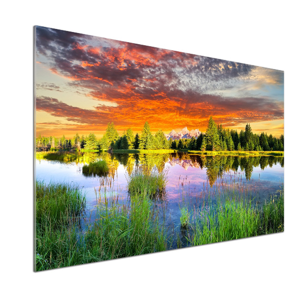 Spatplaat keuken Rivier in het bos