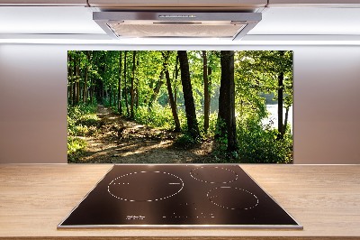 Panel do kuchni Ścieżka na łące