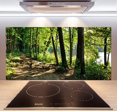 Panel do kuchni Ścieżka na łące