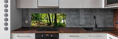 Panel do kuchni Ścieżka na łące