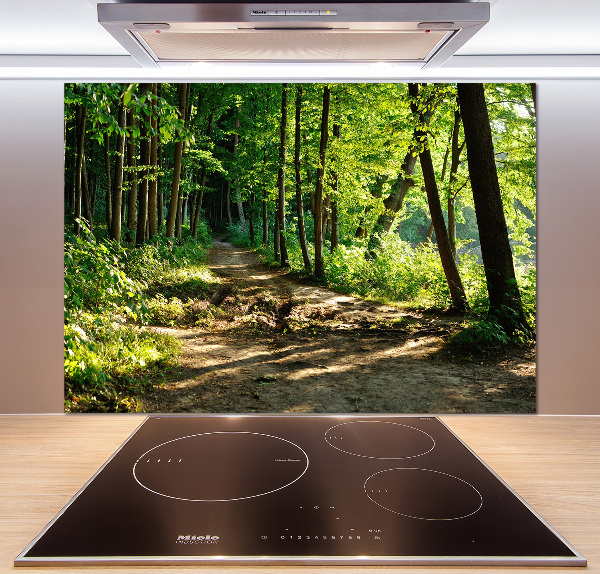 Keuken achterwand Pad in de weide