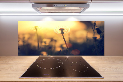 Panel dekor szkło Dmuchawiec