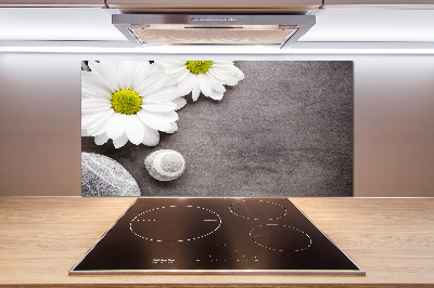 Panel szklany do kuchni Gerbera