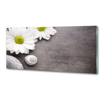 Panel szklany do kuchni Gerbera