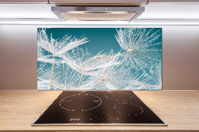 Spatplaat keuken Paardenbloemzaden