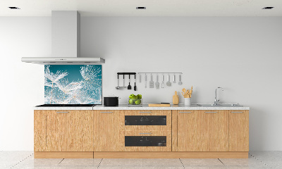 Spatplaat keuken Paardenbloemzaden