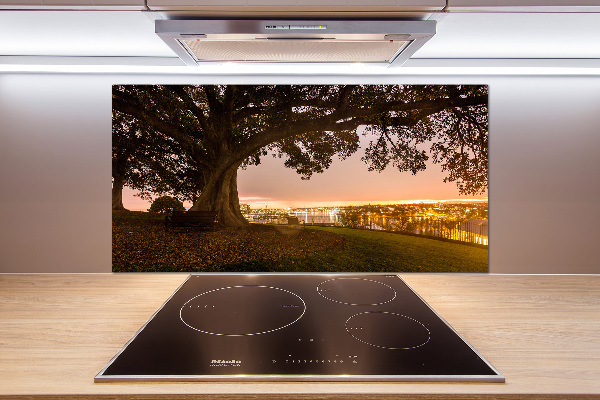 Achterwand keuken Oude boom