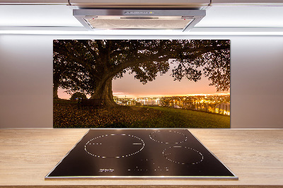 Achterwand keuken Oude boom