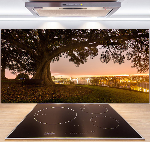 Achterwand keuken Oude boom