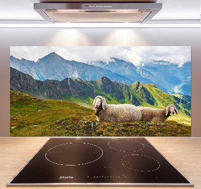 Glazen achterwand keuken Schapen in de Alpen