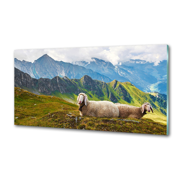 Glazen achterwand keuken Schapen in de Alpen