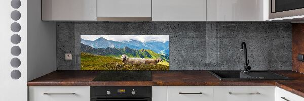 Glazen achterwand keuken Schapen in de Alpen