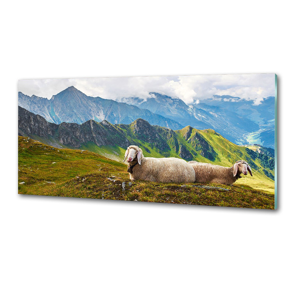Glazen achterwand keuken Schapen in de Alpen