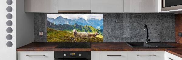 Glazen achterwand keuken Schapen in de Alpen