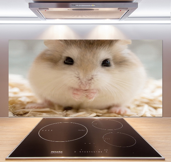 Keuken achterwand Hamster