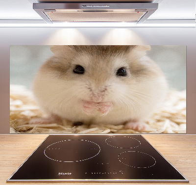 Keuken achterwand Hamster