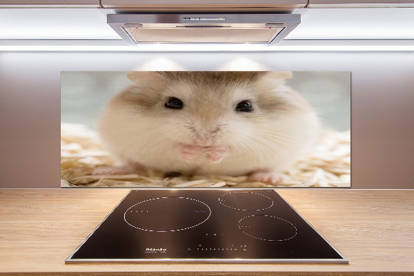 Keuken achterwand Hamster