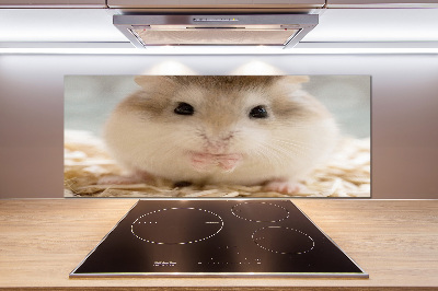 Keuken achterwand Hamster