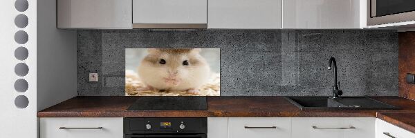 Keuken achterwand Hamster