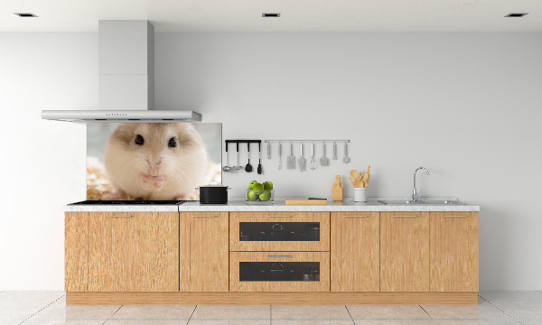 Keuken achterwand Hamster