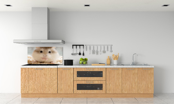 Keuken achterwand Hamster