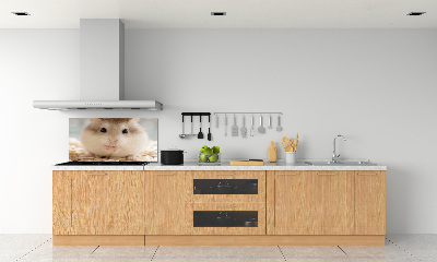 Keuken achterwand Hamster