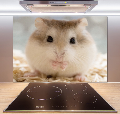 Keuken achterwand Hamster