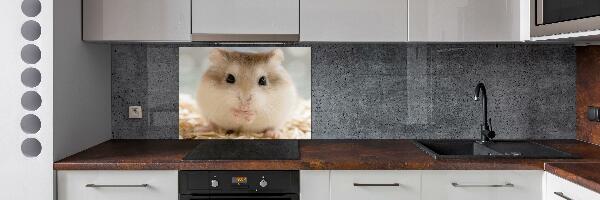 Keuken achterwand Hamster