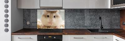Keuken achterwand Hamster