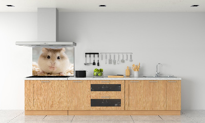 Keuken achterwand Hamster