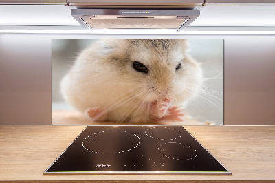 Glazen achterwand keuken Hamster