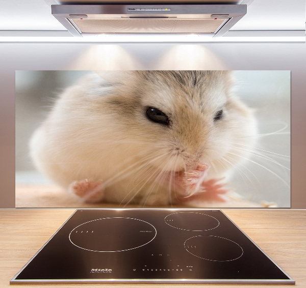 Glazen achterwand keuken Hamster