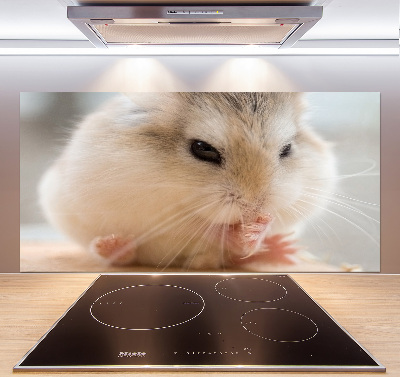 Glazen achterwand keuken Hamster