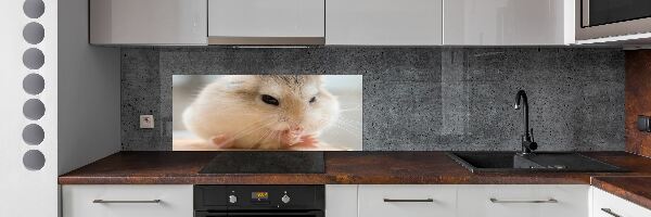 Glazen achterwand keuken Hamster