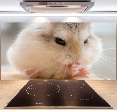 Glazen achterwand keuken Hamster