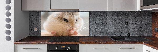 Glazen achterwand keuken Hamster