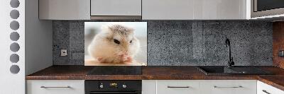 Glazen achterwand keuken Hamster