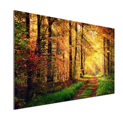 Spatscherm keuken Bos in de herfst