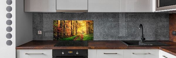 Spatscherm keuken Bos in de herfst