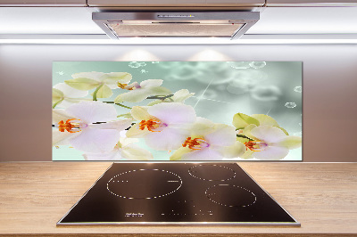 Spatscherm keuken Witte orchidee