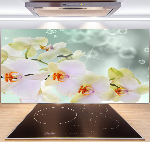 Spatscherm keuken Witte orchidee